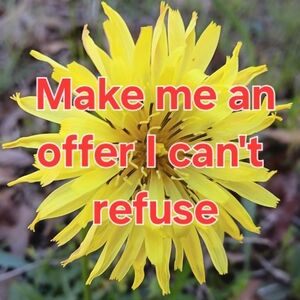 Make Me An Offer I Can't Refuse